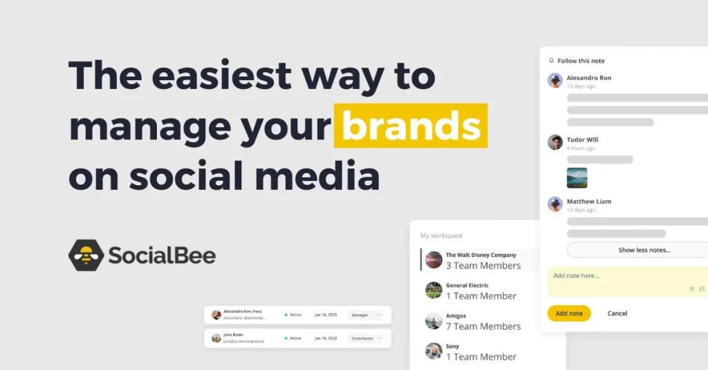 SocialBee Social Media Management